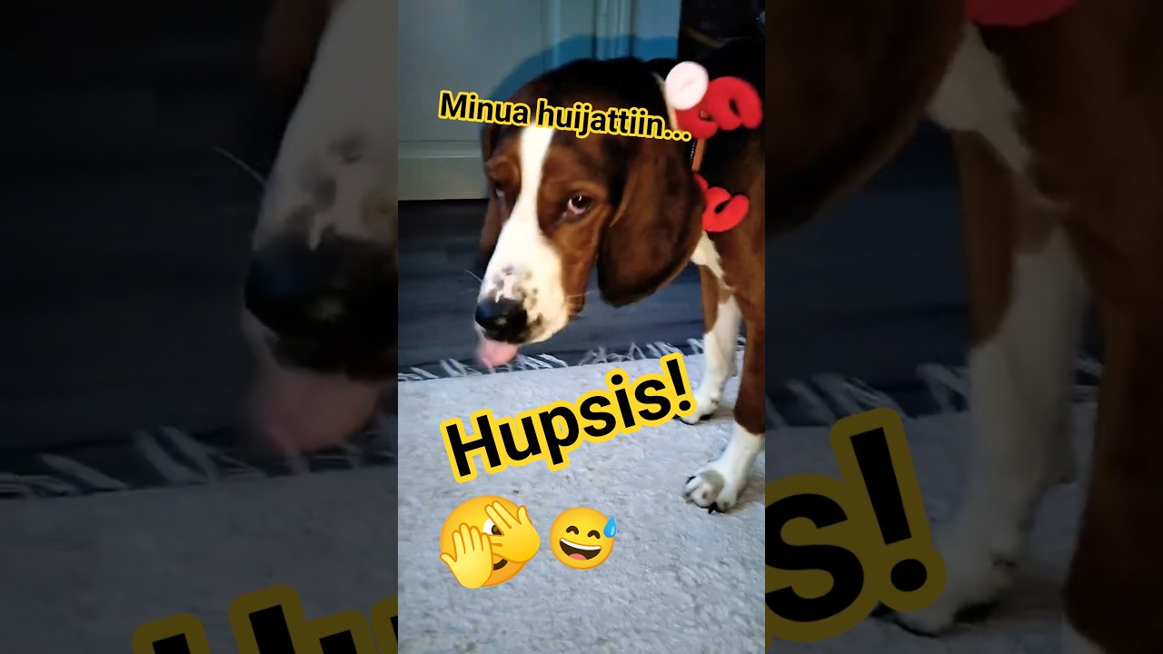 Kuinkas sitten kävikään? 😁