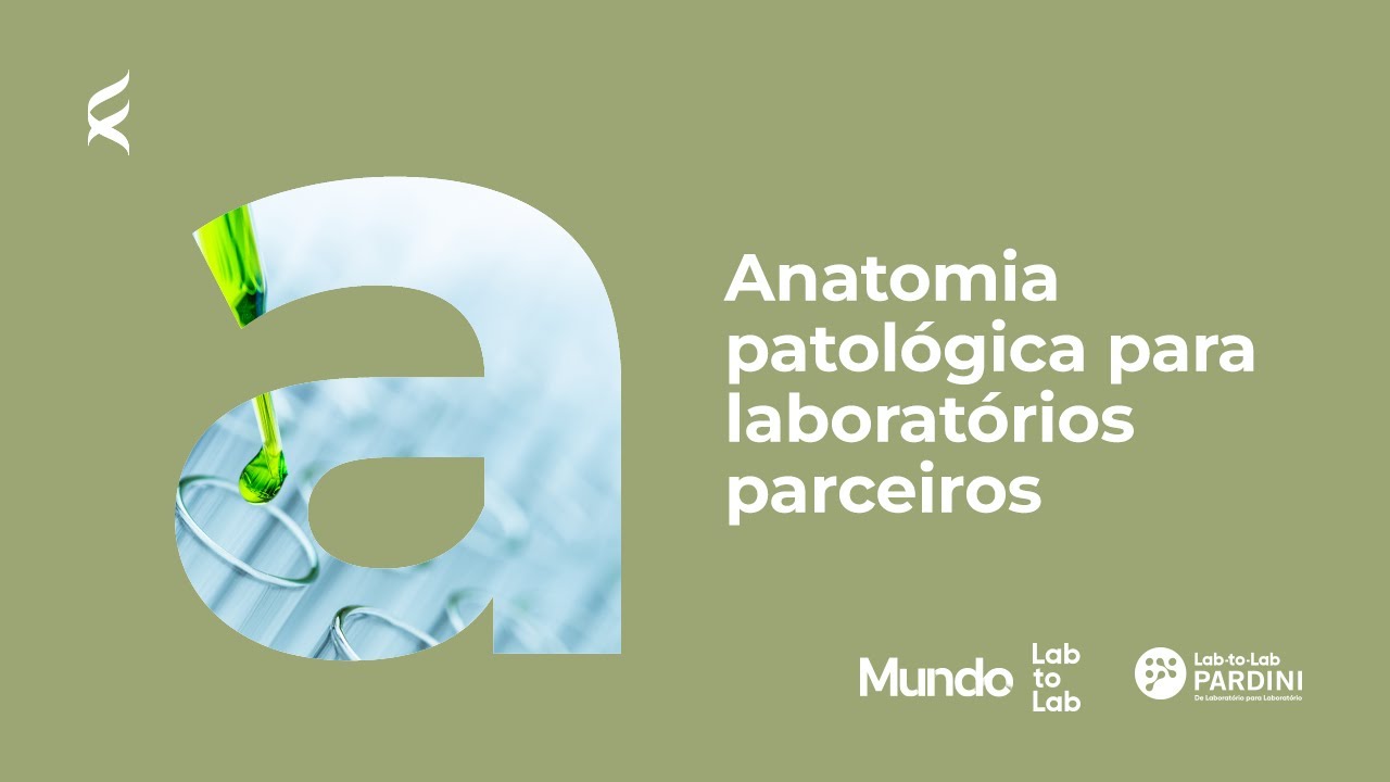 Anatomia patológica para laboratórios parceiros | Mundo Lab-to-Lab Pocket 08