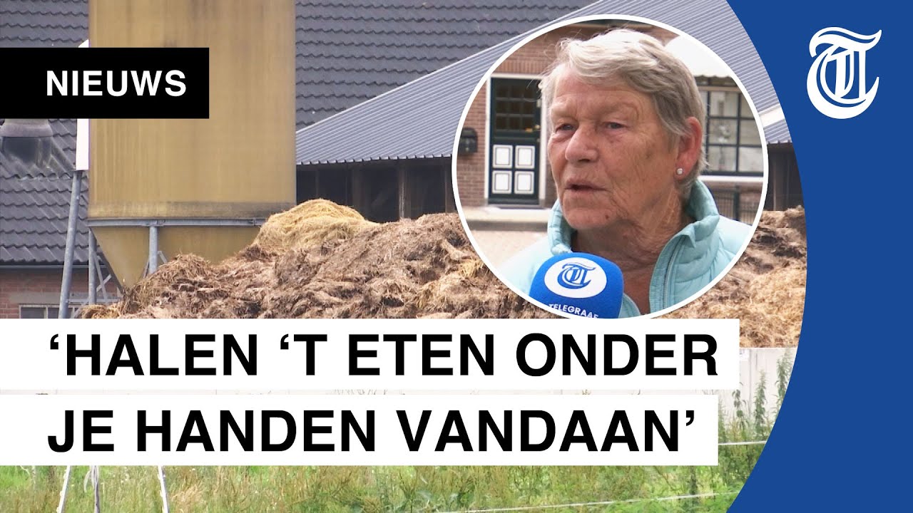 Boer weg door stikstofregels: &lsquo;Worden de nek omgedraaid!&rsquo;