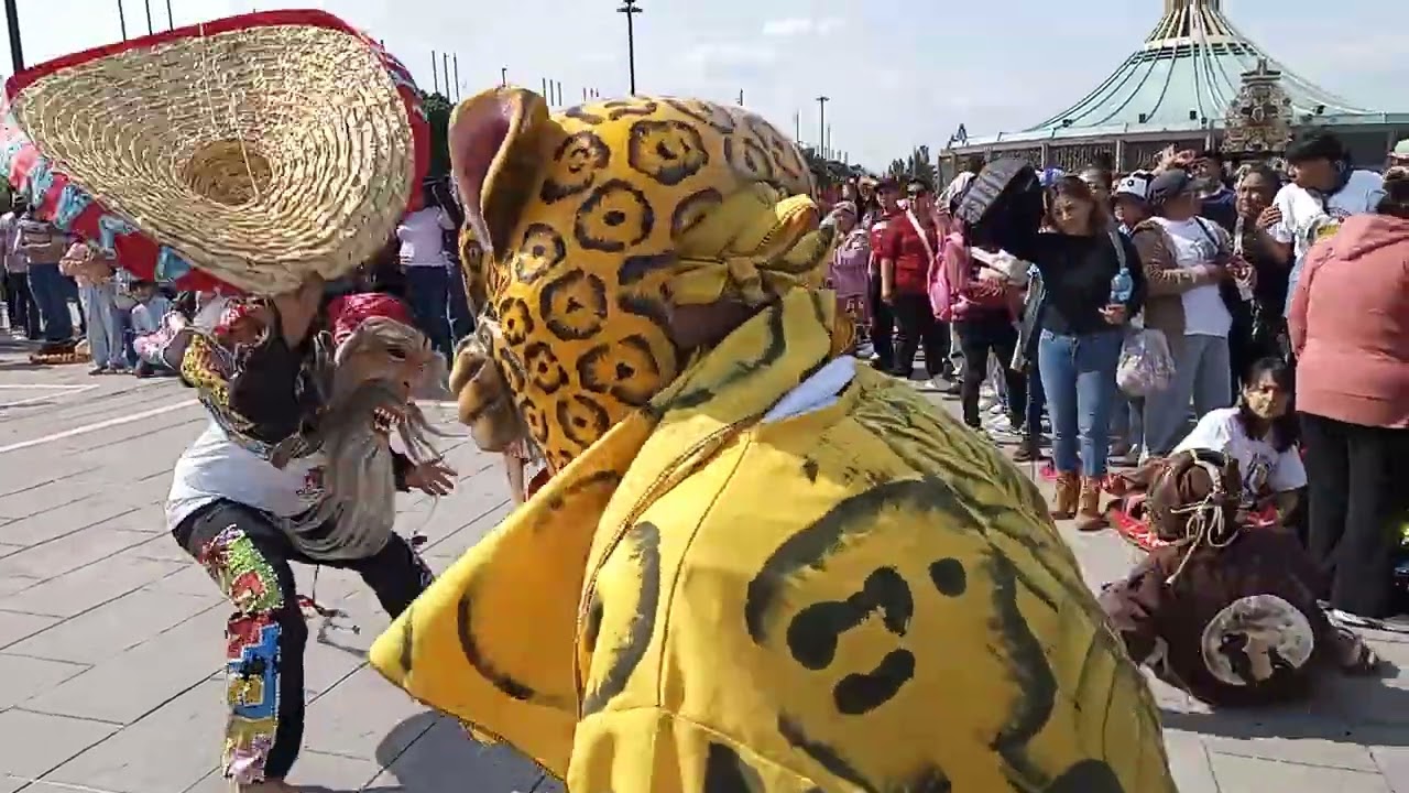 Tecuanes , Basílica de Guadalupe 