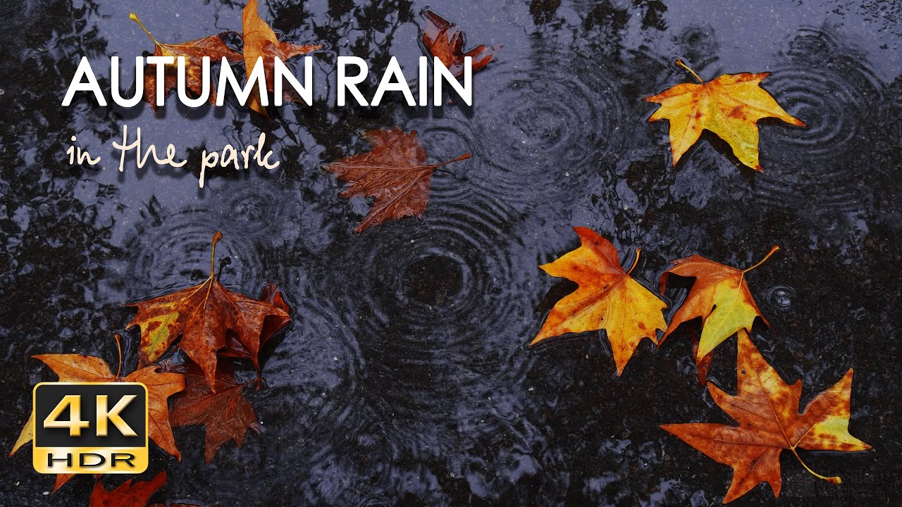 Autumn Rain in the Park - 10 h Gentle Rain Sounds - Raindrops Fall on Pavement - Relax/ Sleep - 4K