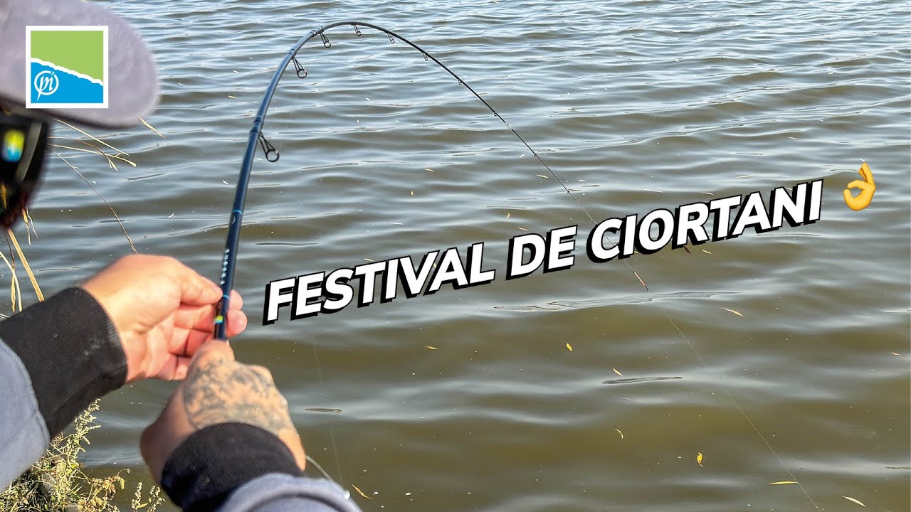 Festival de ciortani pe #Nucetu cu o lanseta Super Light