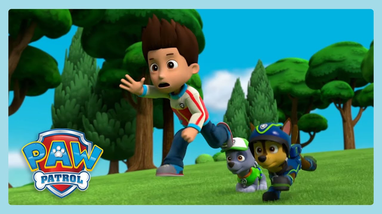 Rädda kycklingen | Paw Patrol | WildBrain Svenska