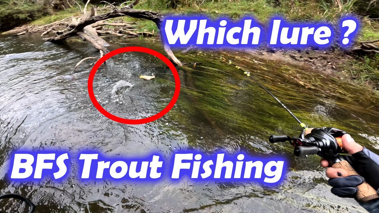 Trying out various lures on BFS setup | Goulburn River Tributaries, VIC Aus