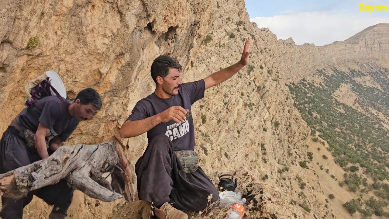 Jahanbakhsh's trip to the mountains, picking mountain forage, discovering mountain honey