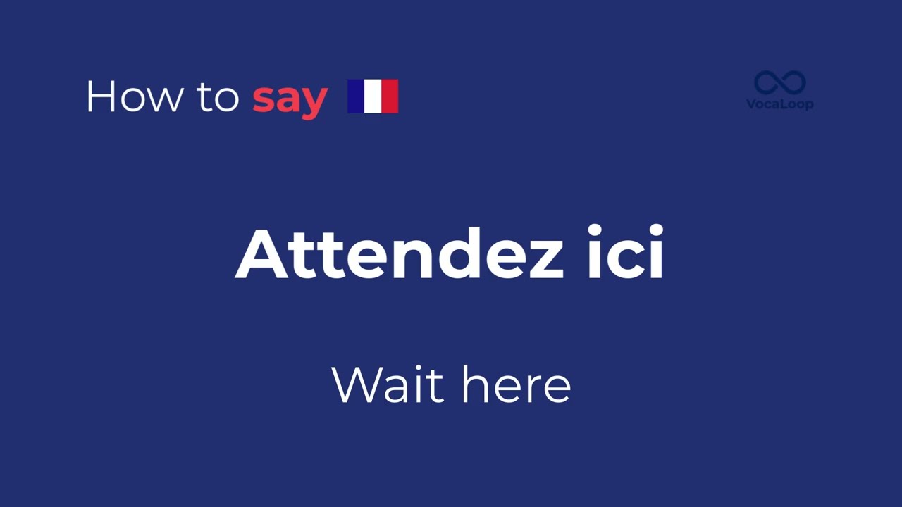 How to Say “Wait here” in French | Travel Crash Course Phrase: Attendez ici