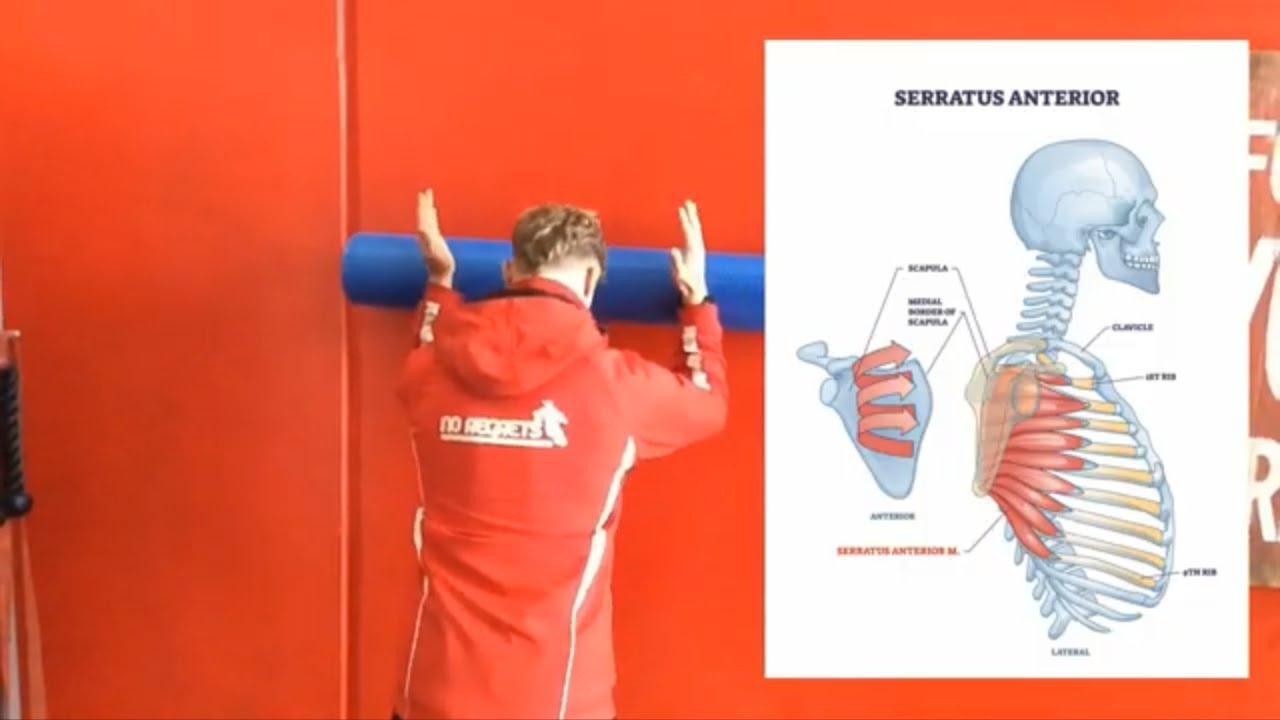 Why Serratus Anterior Is So Important To Shoulder Stability