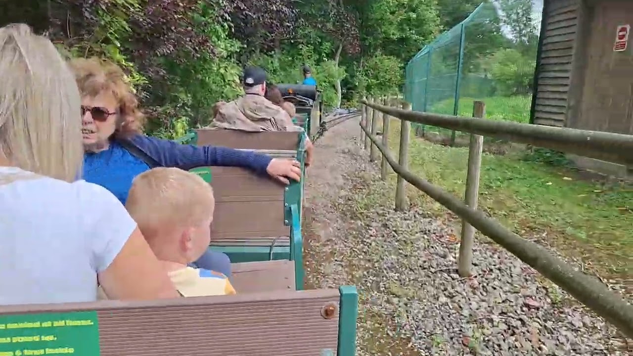 The  wolves are out for this train ! ( All The Miniature Railways : Blackpool Zoo )