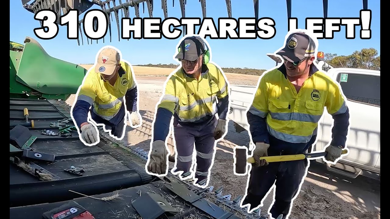2 days left of harvest! | Harvest 2023 | Western Australia