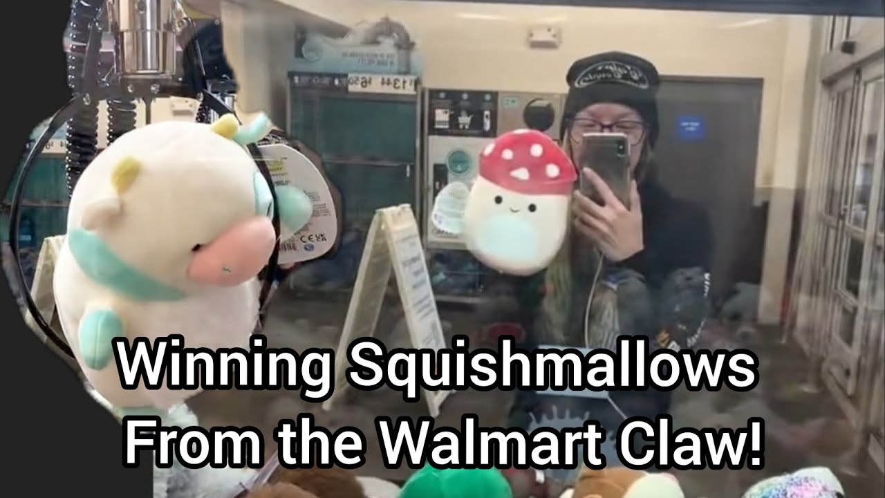 I Won SO Many Prizes From This Claw Machine!!