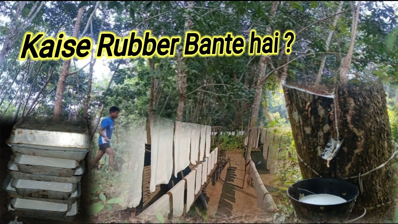 How is Rubber made ? || In this video all process 