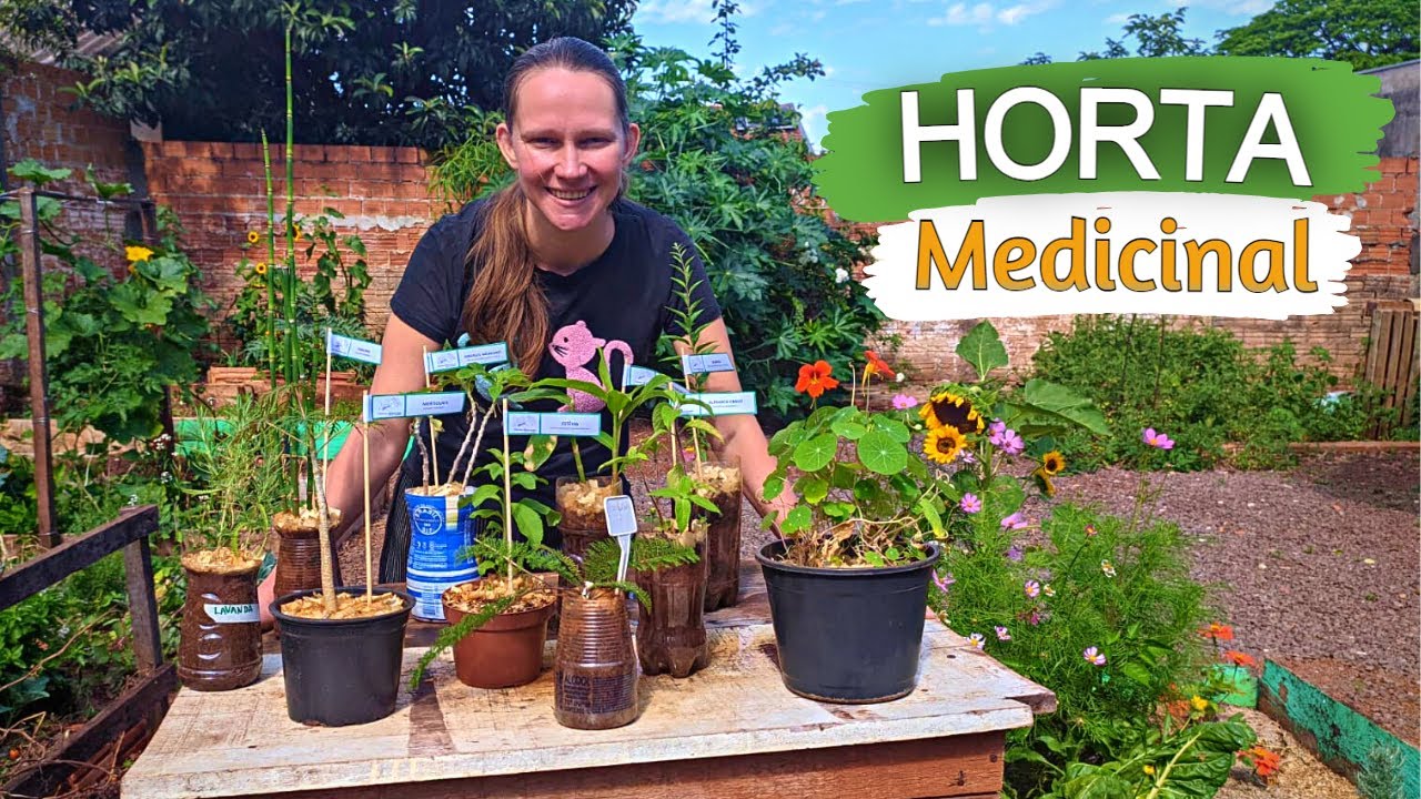 Chegaram Novas Plantas MEDICINAIS para a Horta🌱 Horta no Quintal 💚
