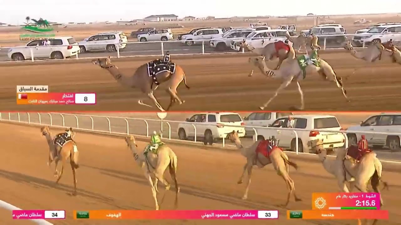 الشوط 1 مفاريد بكار عام صباح يوم السبت 10-8-2024 من #مهرجان_ولي_العهد_للهجن