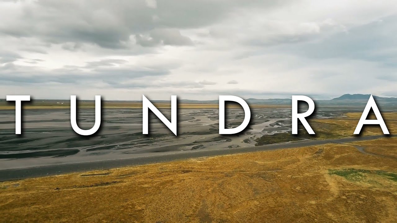 El Clima de Tundra - Secretos del Clima del Mundo #11