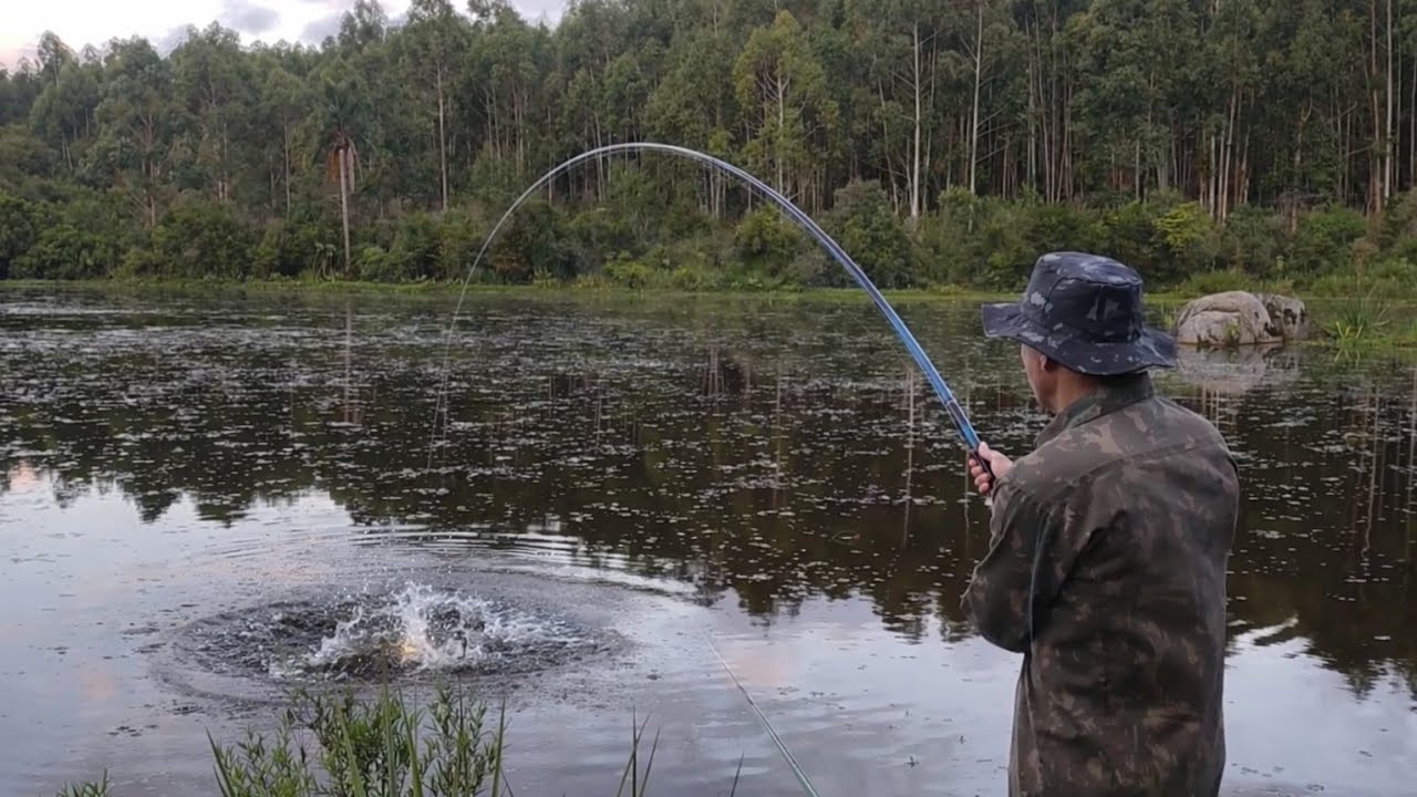 PESCARIA CAIPIRA, PARAÍSO PERDIDO DAS TRAÍRAS, ONDE JOGAVA O ANZOL PEGAVA  BRUTA, PESCARIA DE TRAÍRA