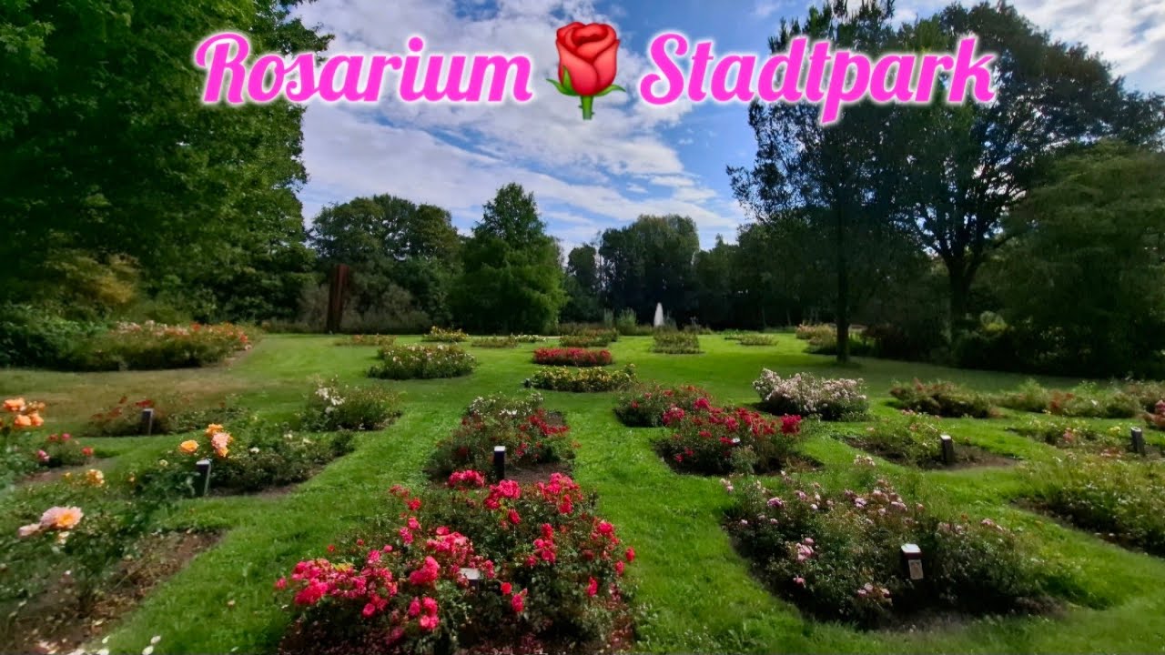 #82 Rosarium - Stadtpark /City Park in Winschoten Holland  #ท่องเที่ยว