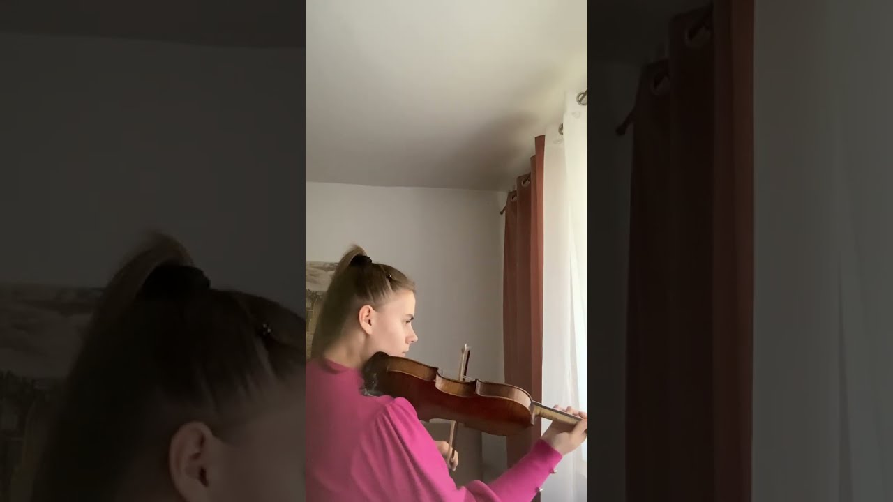 Rolling in the Deep - Adele (Violin Cover)
