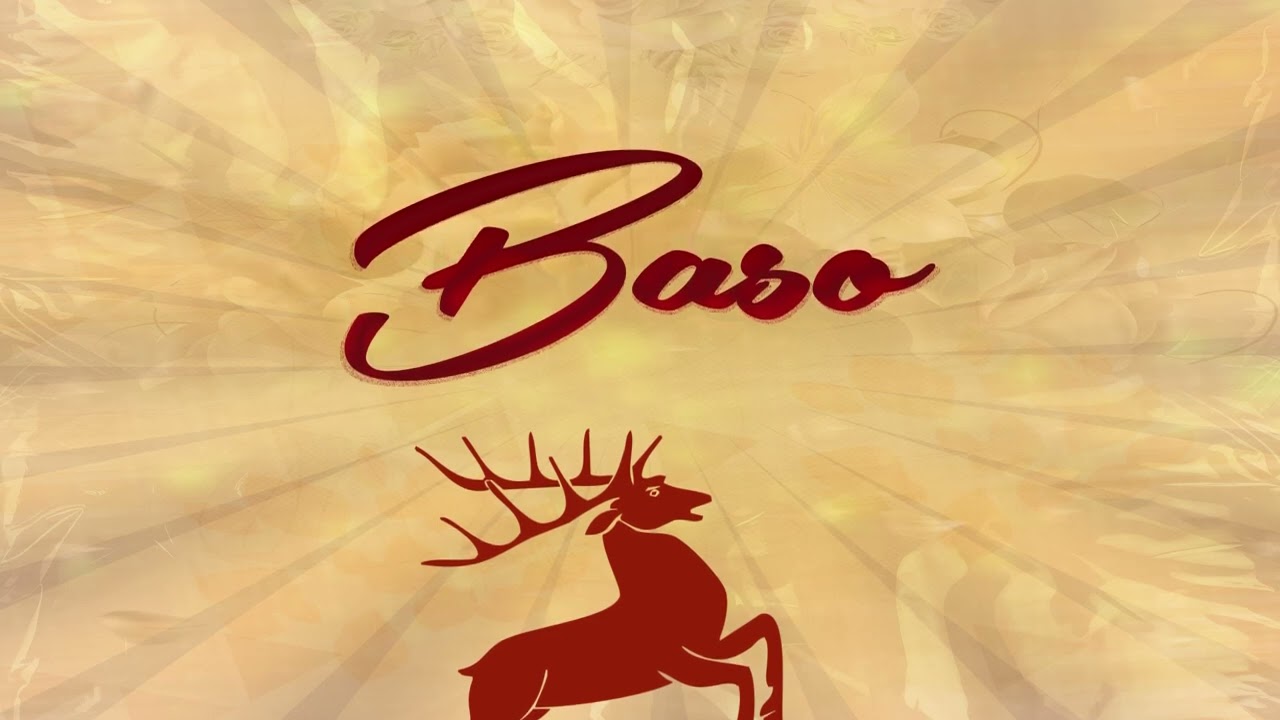 Baso ~ (Official Music Visualizer) 2025