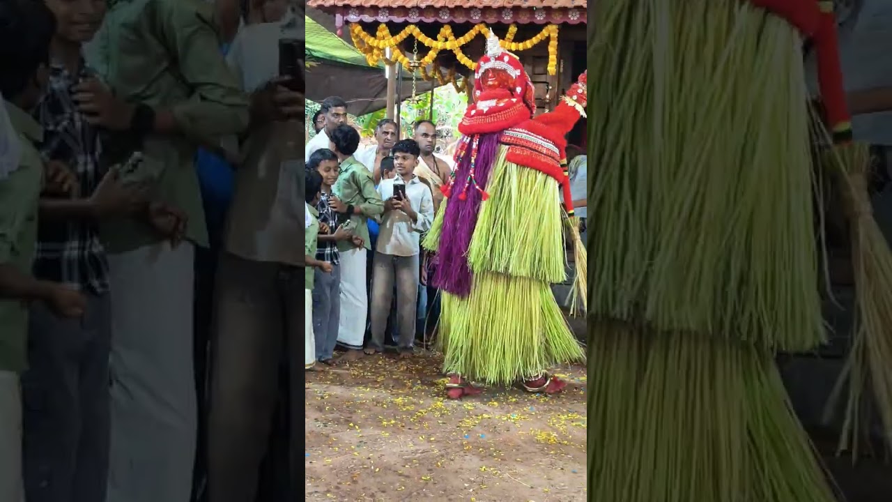 പിലിക്കോട് ശ്രീ കോതോളി കന്നിരാശി തറവാട് മൂവാണ്ട് കളിയാട്ടം 2025 ശ്രീ വിഷ്ണുമൂർത്തി #theyyam