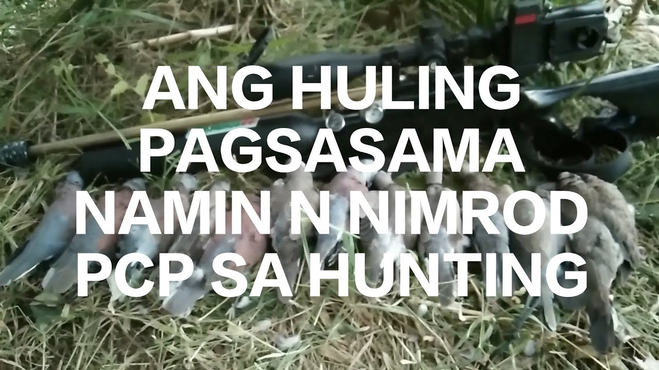 CORNFIELD PESTHUNTING SA IBANG BRGY.USING NIMROD INBORN PCP,#boyet39mixvlog #pestcontrol #hunting 