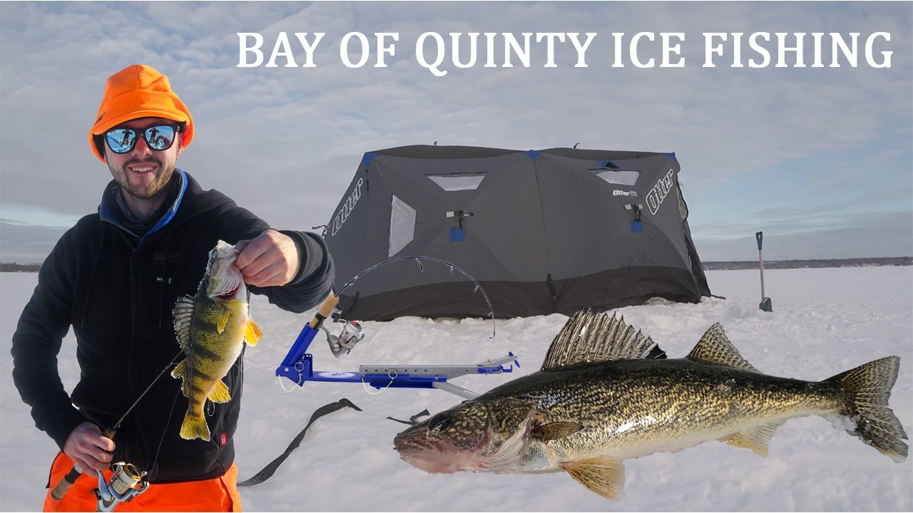 PB Perch at The Bay Of Quinty Ice Fishing - Rod Benders