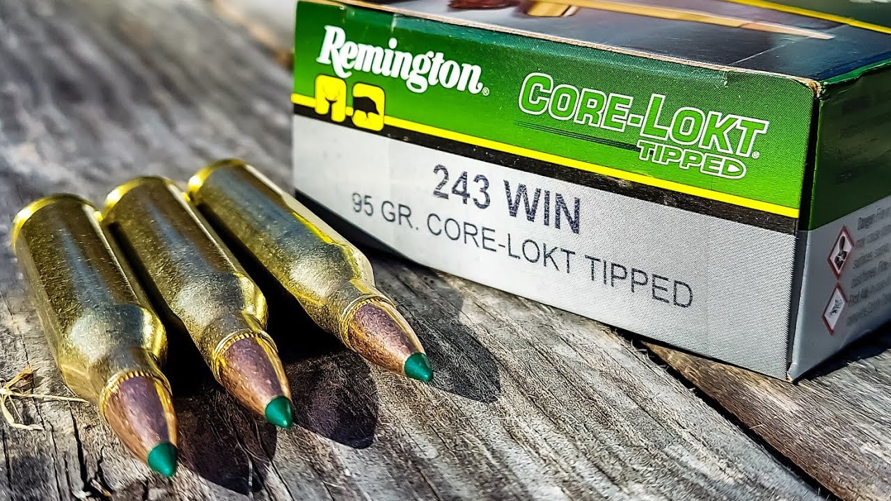 .243 Win Remington Core-Lokt Tipped | Тест патронов на 100 ярдов (Я ОЧЕНЬ ВПЕЧАТЛЕН)