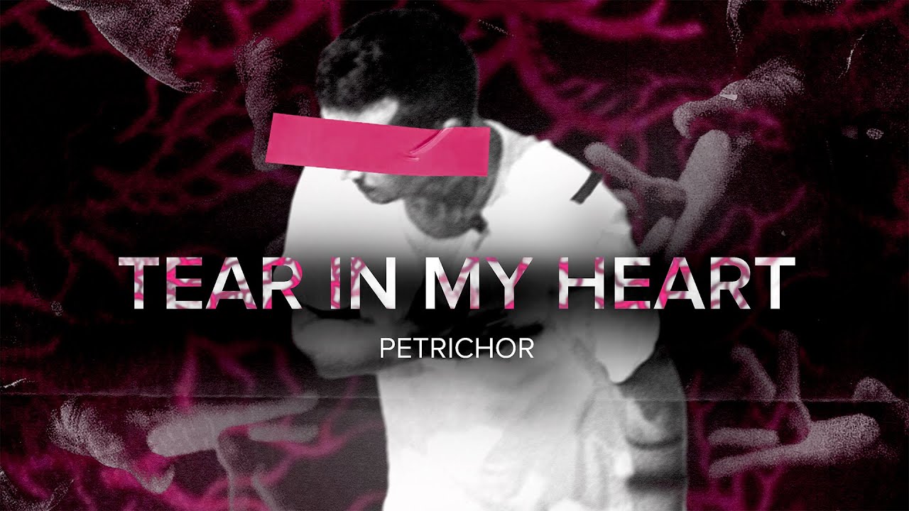 twenty one pilots - tear in my heart (remix)