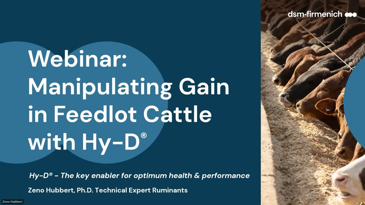 Webinar: Manipulating Gain in Feedlot Cattle with Hy-D®