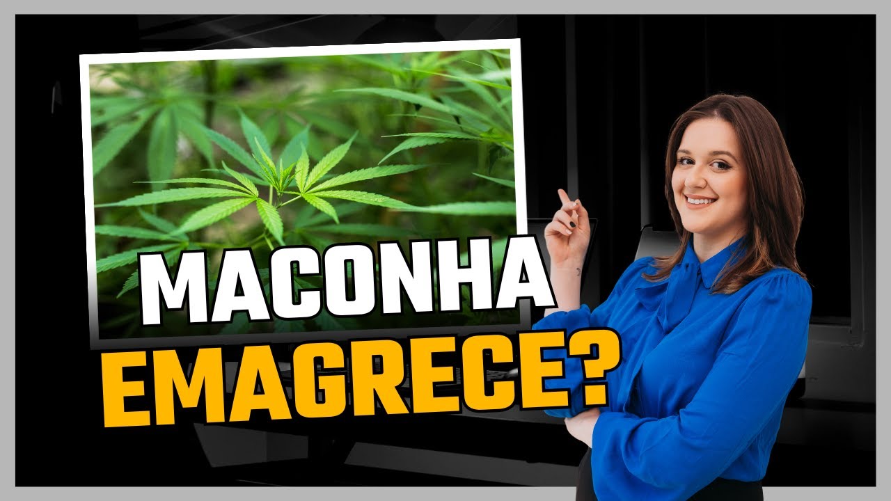 MACONHA ENGORDA OU EMAGRECE?