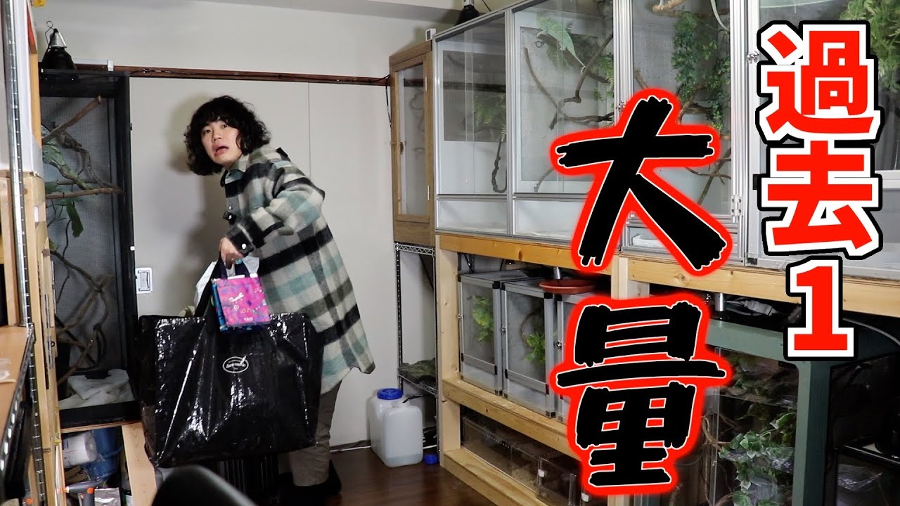 日本最大の爬虫類イベント戦利品紹介【ジャパンレプタイルズショー】