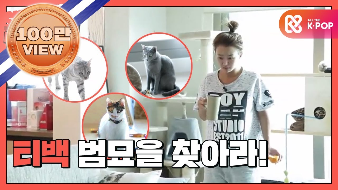 [쇼타임] '효린'과 삼냥이의 아침 일상 공개! l EP.6 (JPN)