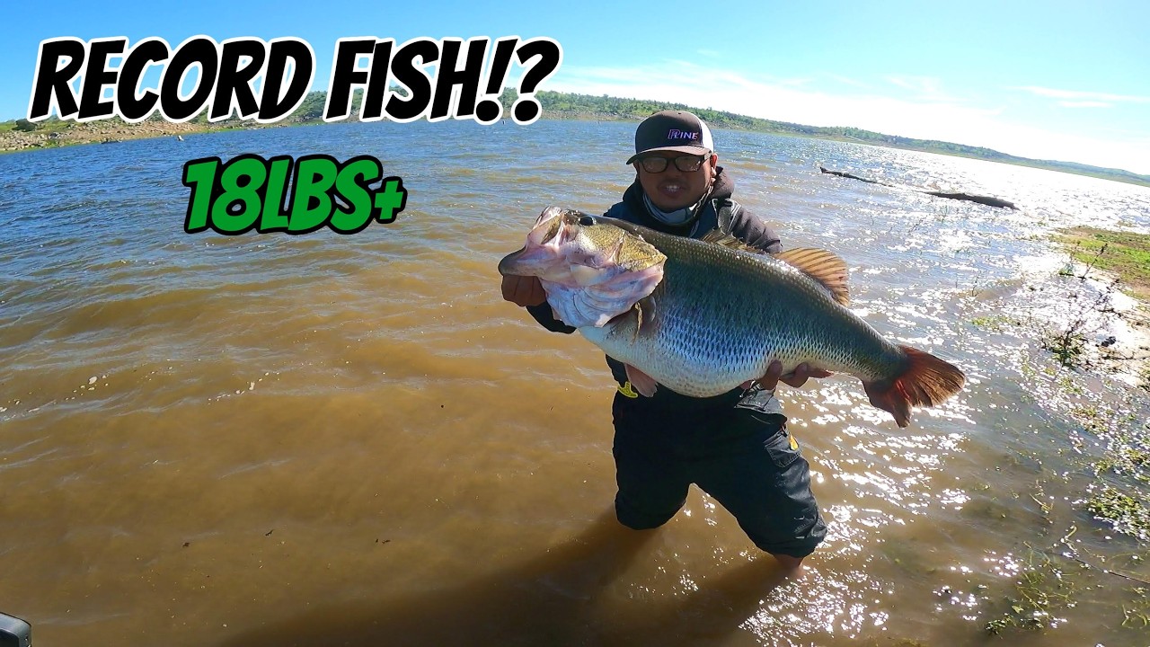 A Fish of a Lifetime-18lb+ Bass