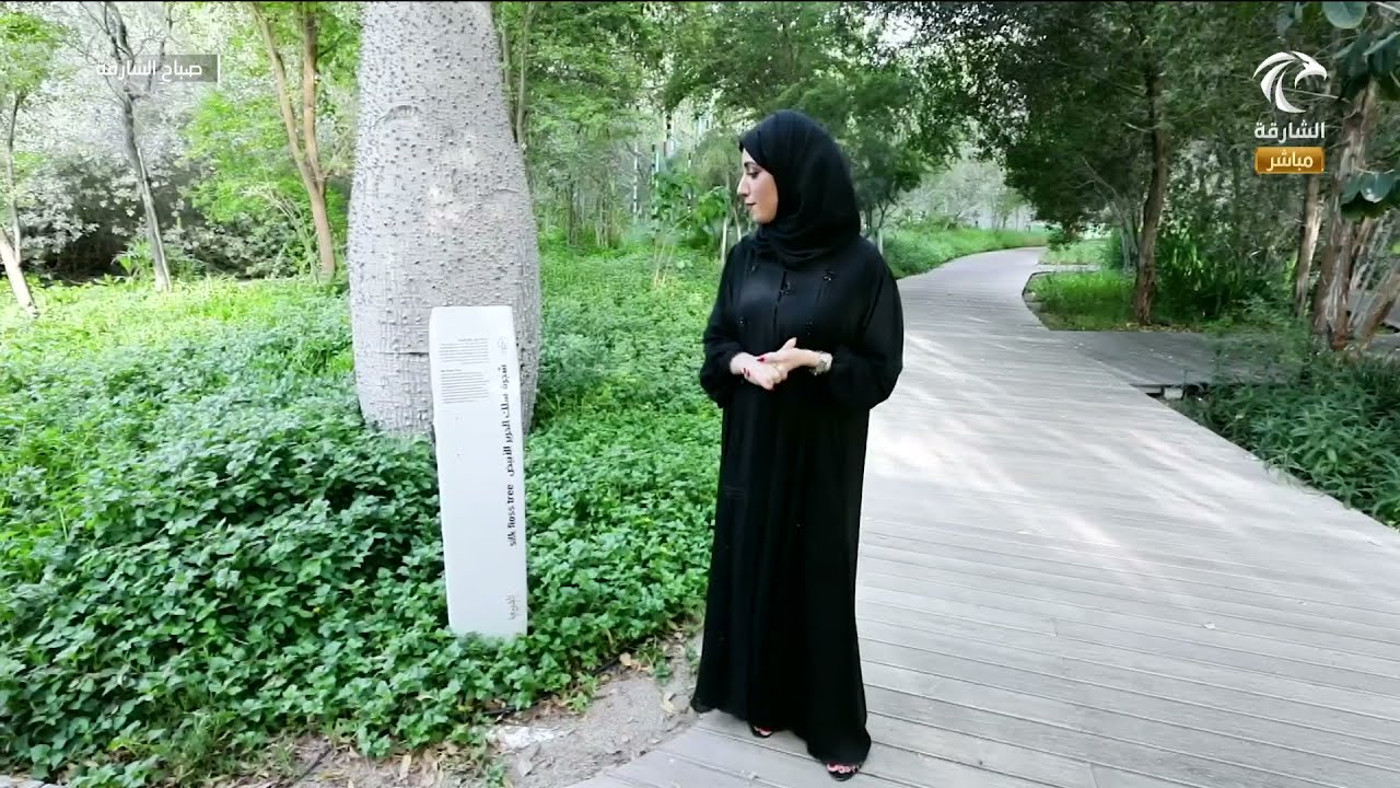 برنامج صباح الشارقة | جولة في الشارقة 