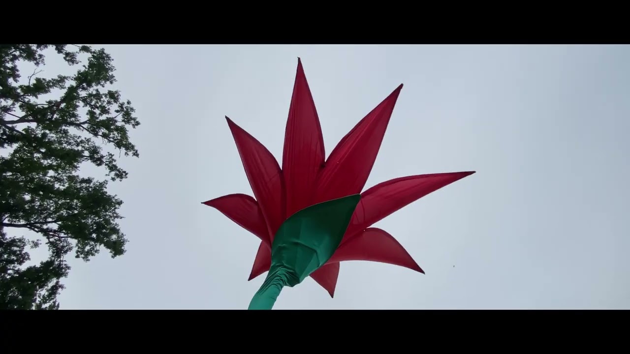 Retro C Trop 2022 - My after movie