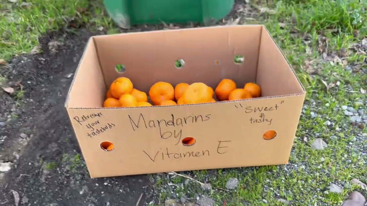 ПРОДУКТЫ СЕЙЧАС ТАК ДОРОГО СТОЯТ, ЧТО ЛЮДЯМ ПРИХОДИТСЯ ПРИОБРЕТАТЬ ДОБАВКИ