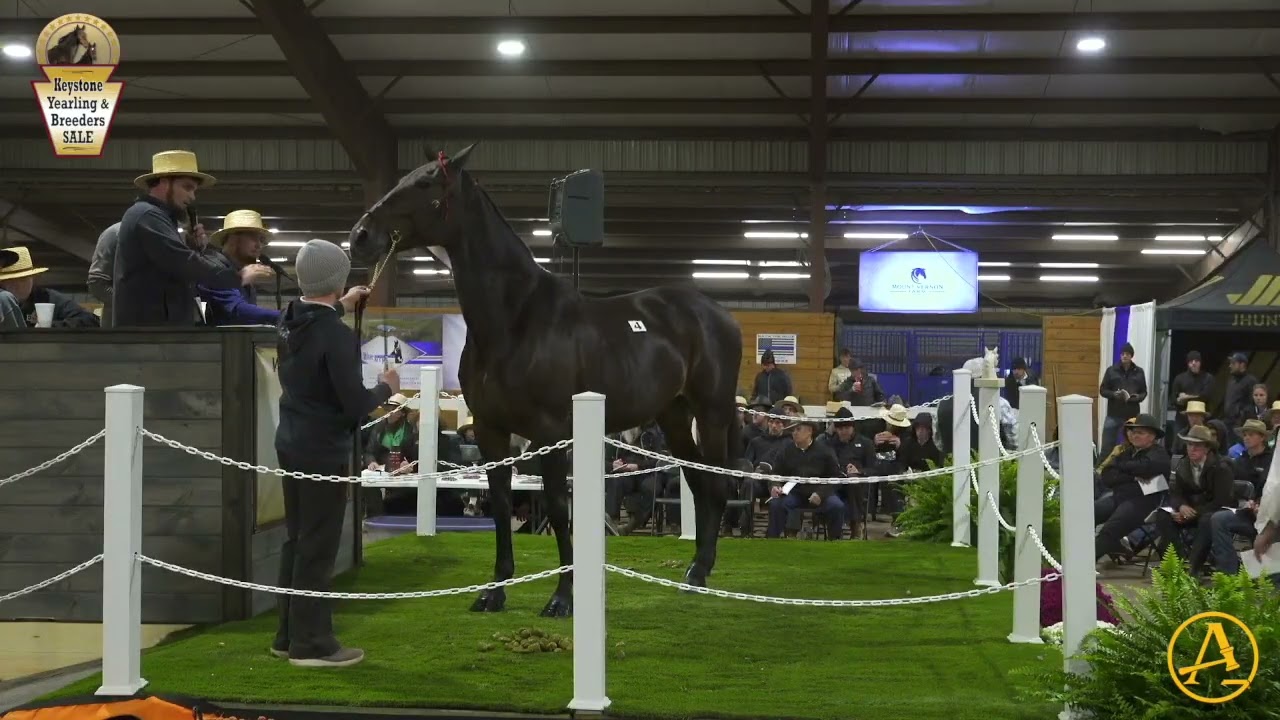 2025 Keystone Yearling and Breeders Sale - Day 1 | AuctionPro