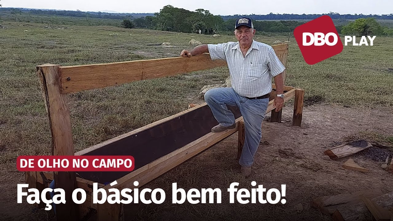 Bebedouro eficiente e barato para o gado