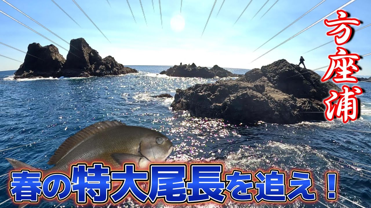 【磯フカセ釣り】尾長にブチブチやられとるで！船長のオススメで沖磯に乗ったら優勝しました！