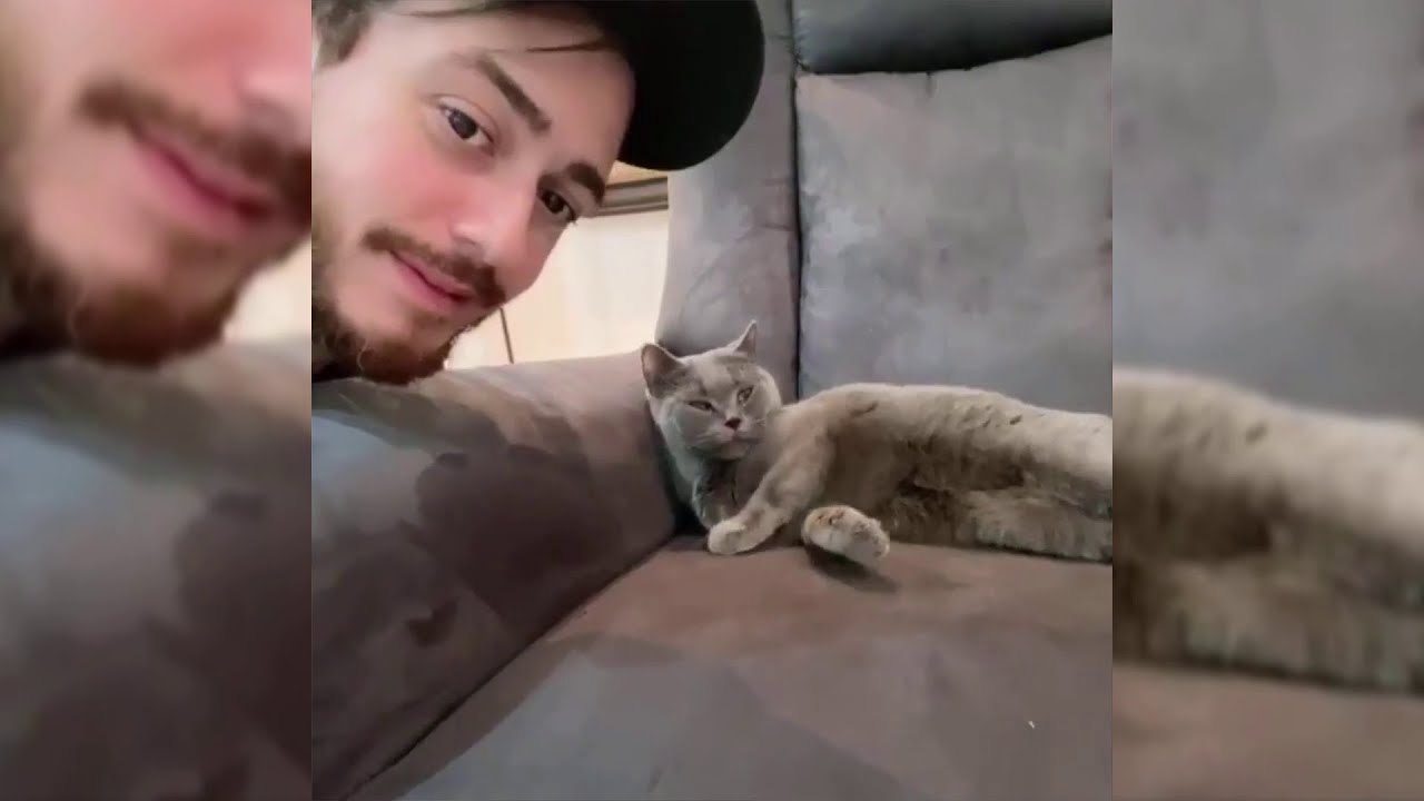 اغرب الطرائف مع القطط هههههههه saad lamjarred