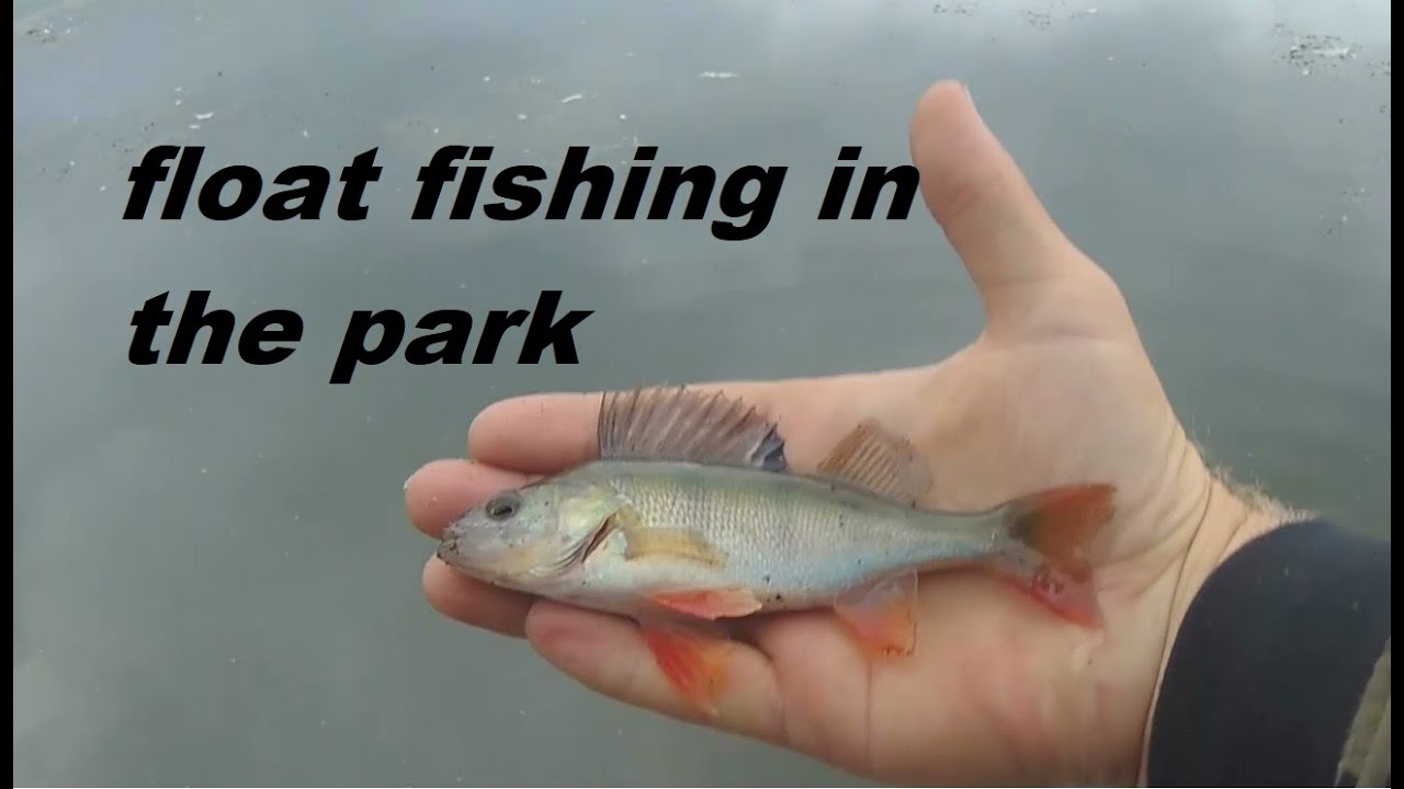 park pond fishing