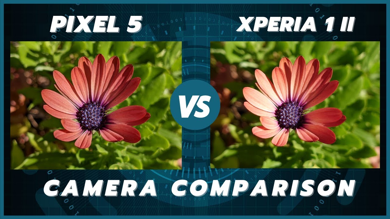 Google Pixel 5 vs Sony Xperia 1 ii Camera Comparison