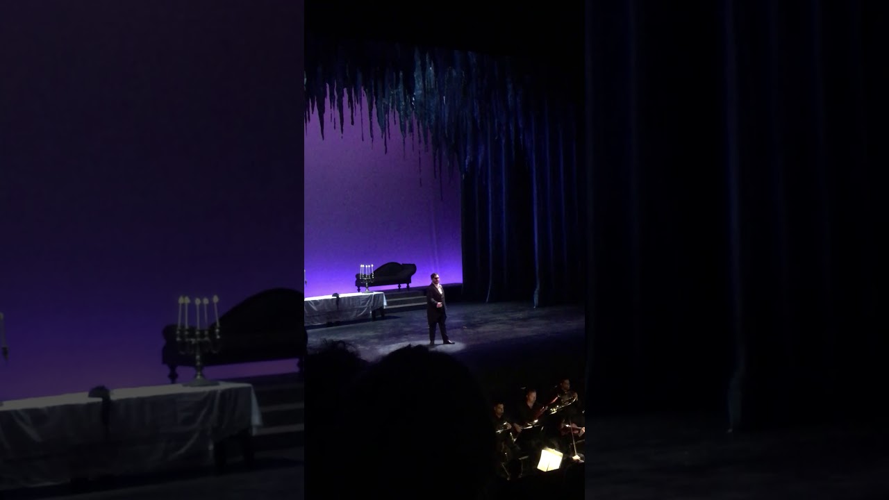 Nessun dorma - Turandot - G. Puccini, gala 