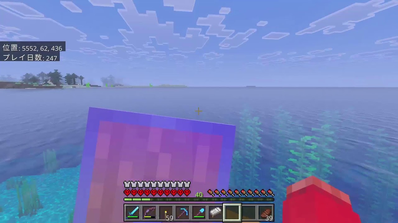 マイクラ　ハードコア