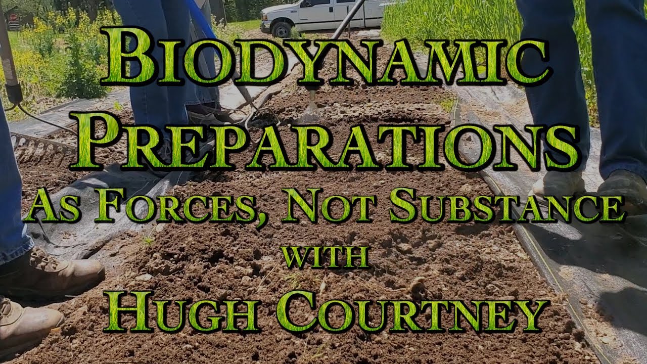 Biodynamic Preparations As Forces, Not Substance with Hugh Courtney