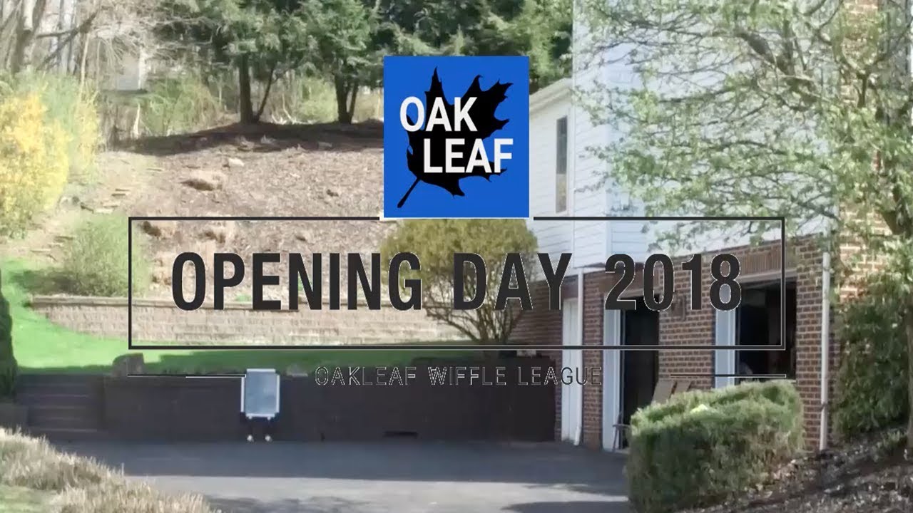 BLITZBALL OPENING DAY 2018 | MARK IS BACK!