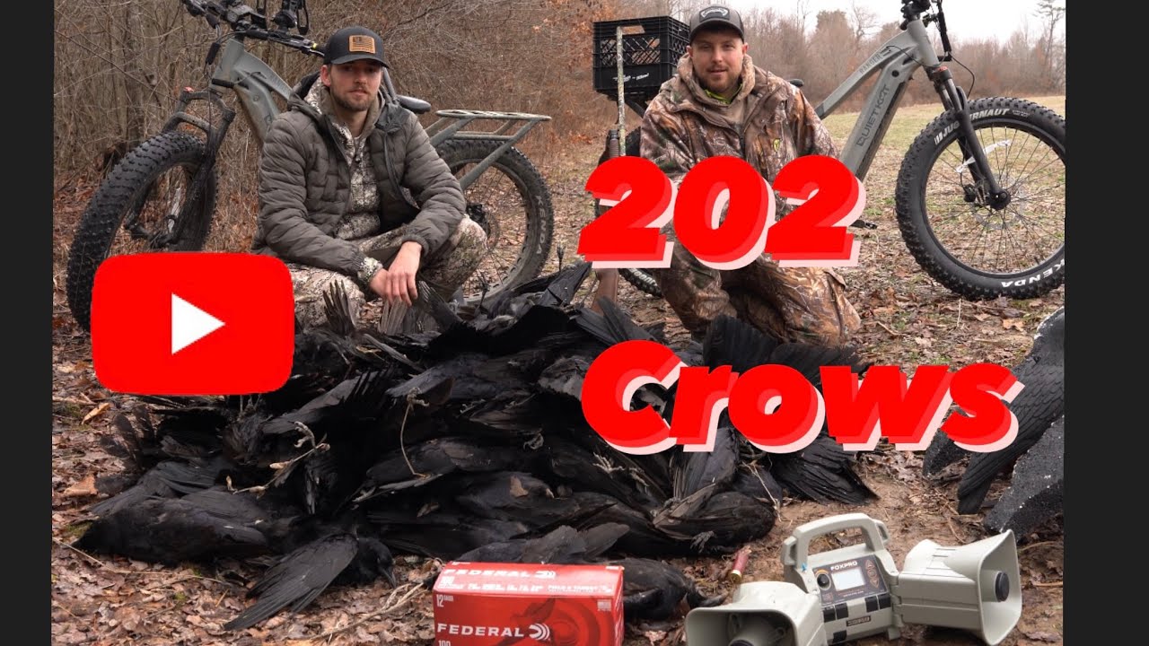 202 Crows In 5 Hours!!!
