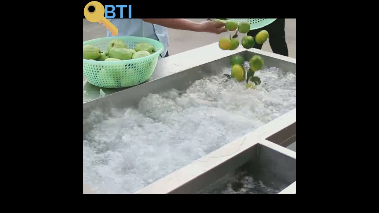 BTI Food Processor Electric Cleaning Washer Fruit Vegetable Washing Machine