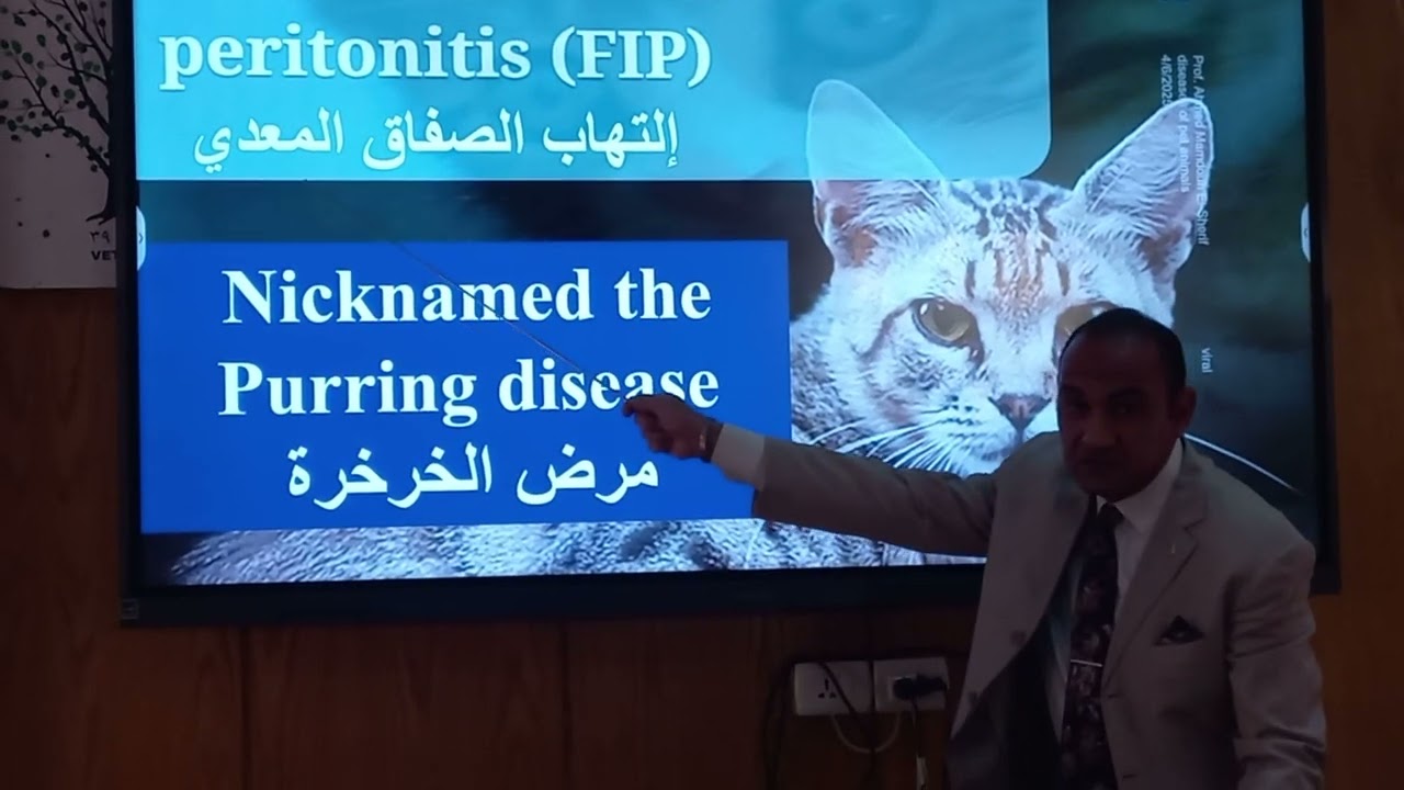 Feline Infectious anemia