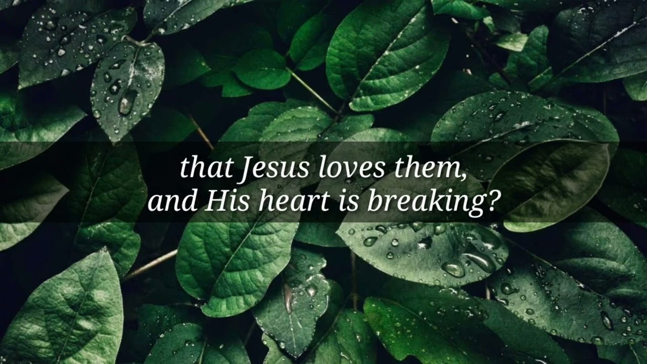 Carry the Light minus one | Accompaniment | with lyrics