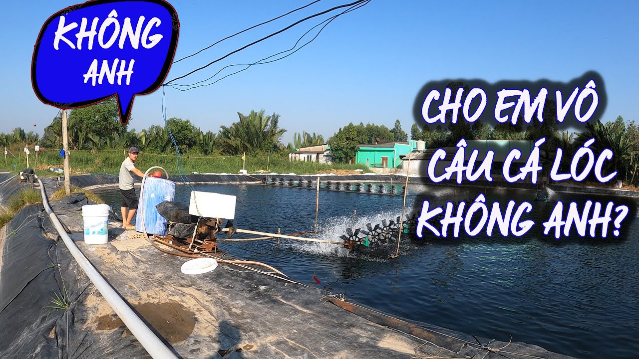 Không ai nghỉ dưới đây có cá lóc mà còn toàn là khủng long #thuytrieuxoay 161